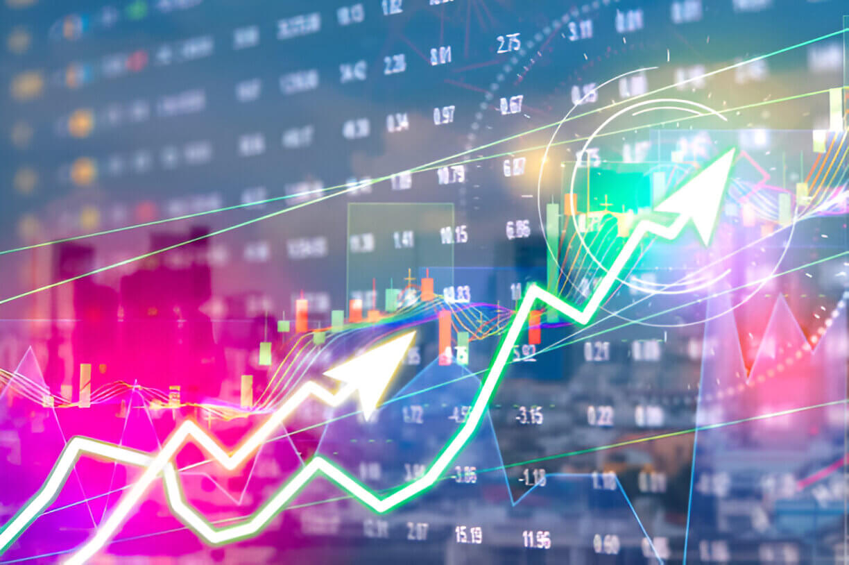 Professional Investment Analysis